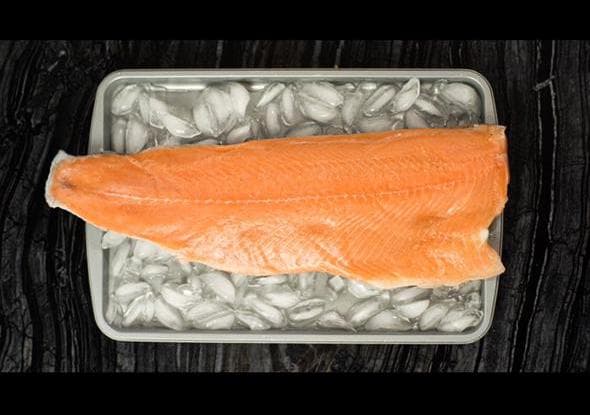 Filete Entero - Salmón